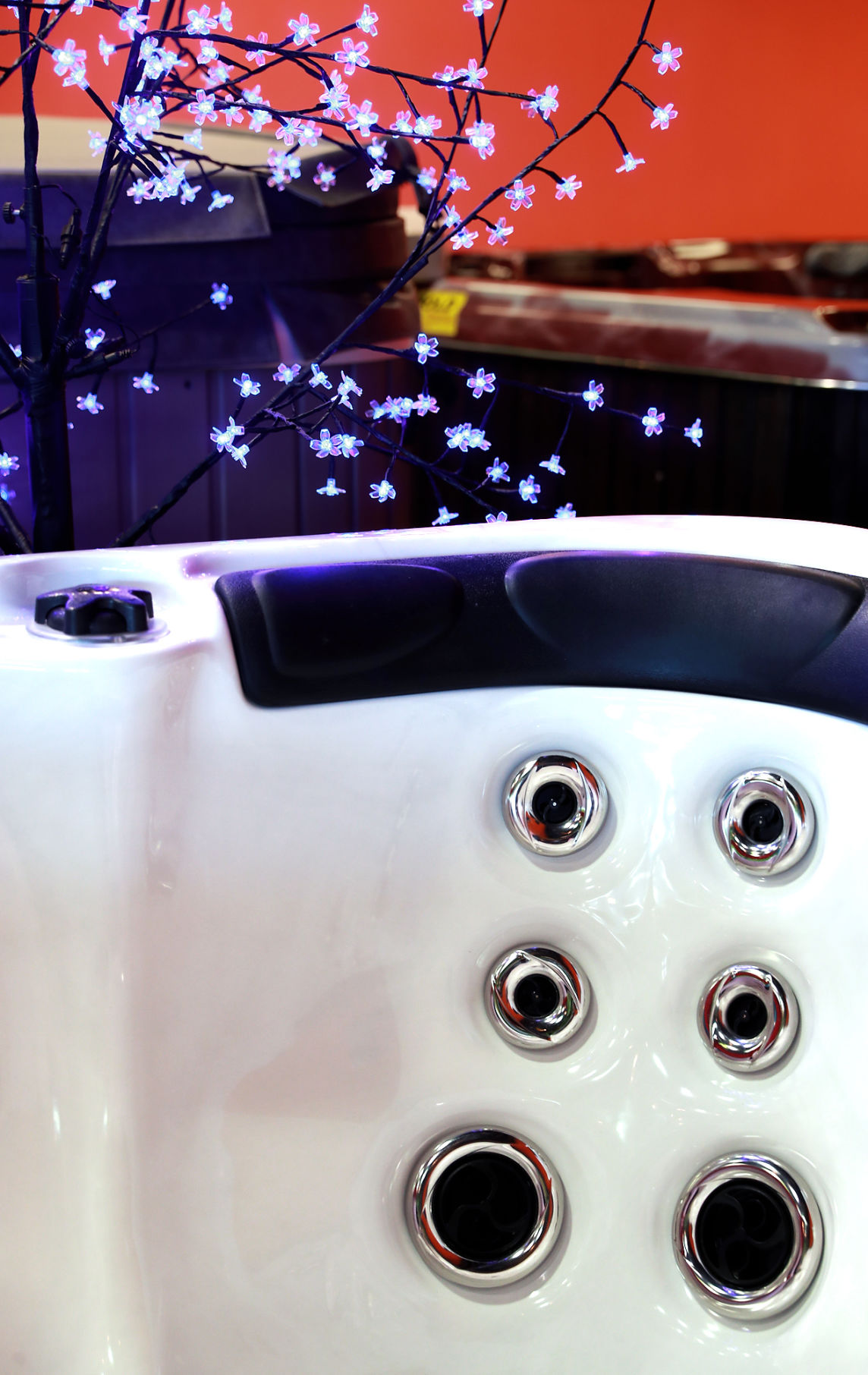060919_HotTubs4BIZ003_bjs.JPG